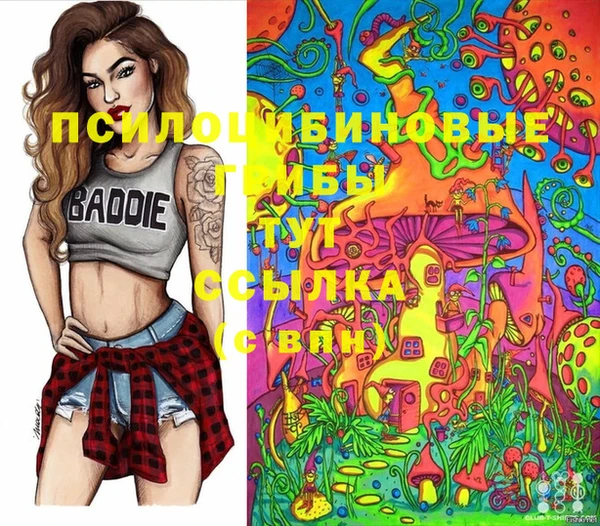 ГАЛЛЮЦИНОГЕННЫЕ ГРИБЫ Армянск