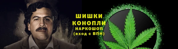 ГАЛЛЮЦИНОГЕННЫЕ ГРИБЫ Армянск