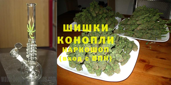 гашик Арсеньев
