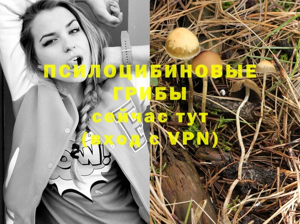 соль курить ск Аркадак