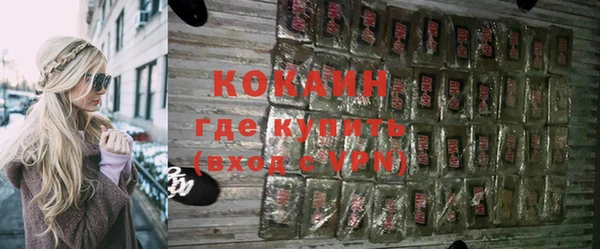 гашик Арсеньев