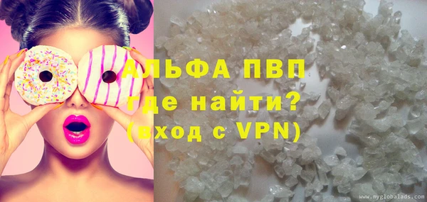 гашик Арсеньев