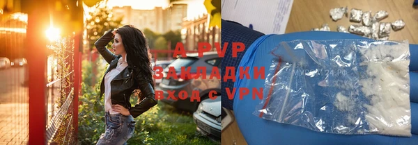 гашик Арсеньев