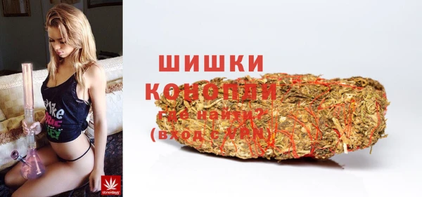 гашик Арсеньев